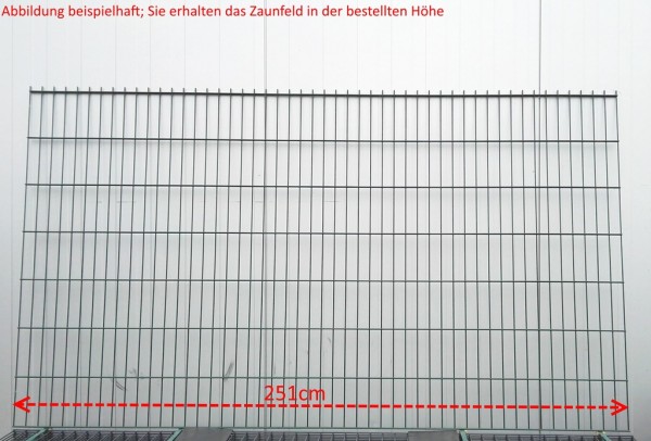 Doppelstab Zaunfeld / Grün / 103cm Höhe / 250cm Breite / Stärke 6/5/6mm
