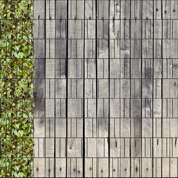 Sichtschutz Premium Motiv Holzwand verwittert mit Kirschlorbeer